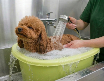 hot bath ｜BLISS