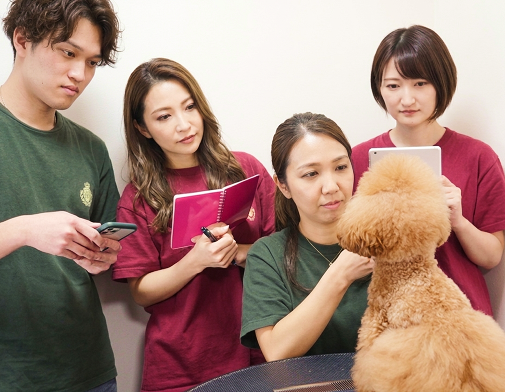 skilled groomers ｜BLISS