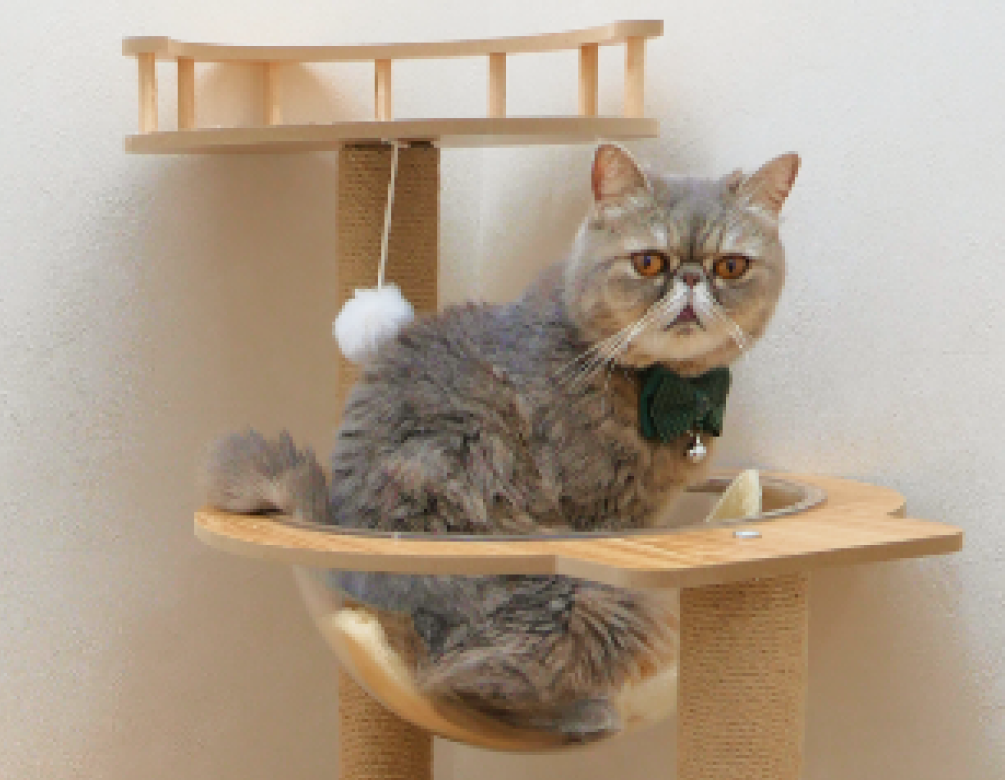 toyosu catpethotel ｜BLISS